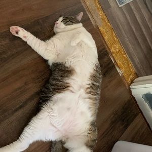 Meet your Posher, Brad